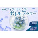 花 ネモフィラとカスミ草のボトルフラワー