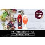 お酒 リキュール オホーツク網走山葡萄サワーの素 500ml×12…