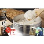 こしひかり 5kg×12回
