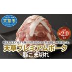 豚肉 カレー シチュー S058-021_天草プレミアムポーク