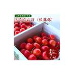 ふるさと納税 果物類 さくらんぼ 山形県 寒河江市 土作りからこだわった 《植物性有機肥料使用》 さくらんぼ「佐藤錦」1kg(500g×2パック) 秀品 Lサイズ以上…