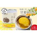缶詰工場直送 特選果実 旬ほとぎ 甘夏みかん 12缶
