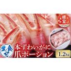 ふるさと納税 カニ ずわいガニ 北海道 根室市 B-28086 根室海鮮市場 直送 生食用本ズワイガニ爪ポーション1.2kg