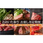 ふるさと納税 牛肉 セット 大分県 国東市 毎月お届け おおいた和牛 お楽しみ定期便 / 計3回発送_2196R