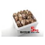 ふるさと納税 牡蠣 生牡蠣 広島県 大竹市 オレの牡蠣アミスイ 殻付牡蠣 5kg｜朝どれ 生食用 殻付き かき カキ 大粒 生牡蠣 生かき 生がき 生カキ 生ガキ 貝 シ…