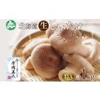 fu.... налог овощи вид .. . Hokkaido ... блок 1949..... Special A превосходящий товар 4 упаковка итого 1kg.. прекрасный человек шиитаке .. сырой ...... . грибы . пол культивирование крупный мясо толщина...