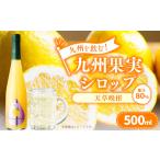 果汁飲料 みかん 九州を飲む 九州果実 シロップ