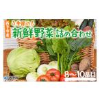 セット 詰合せ 新鮮野菜の詰め合わせ 8~10品目