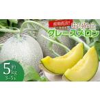 ショッピングふるさと納税 メロン ふるさと納税 メロン メロン青肉 山形県 鶴岡市  令和8年産先行予約 産地直送 庄内砂丘グレースメロン 約5kg (3〜5玉)　佐藤農園　 K-835