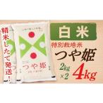 ふるさと納税 米 つや