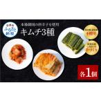 加工品等 キムチ 高知老舗焼肉店 天下味の手作り生キムチ