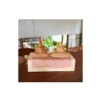 木工品 竹工品 ひなにんぎょう 木製 コンパクト