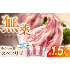 豚肉 バラ 無薬育ちのあんしん豚 スペアリブ 1.5kg