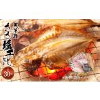 干物 アジ S011-022_天草灘ささ塩干しセット