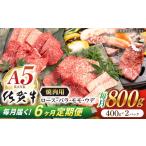 牛肉 ロース 6回定期便 佐賀牛 A5 厳選部位