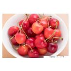 ふるさと納税 果物類 さくらんぼ 山形県 高畠町 期間限定発送 さくらんぼ 紅秀峰 特秀 3L サイズ 500g JA山形おきたま 山形県 高畠町 tk06ays870031 サクラン…