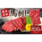 馬肉 令和8年熊本地震復興支援 熊本名物