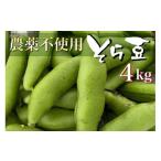 豆類 甘~い そら豆4kg 亀岡産 自然栽培のかたもとオーガニ…