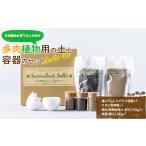 花 苗木 多肉植物用の土と容器のセット スターターキット