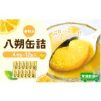 缶詰 瓶詰 くだもの産八朔缶詰 身割れ 約425g×12缶セット