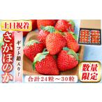いちご a881-02 土日祝着 受付中 2027年2月上旬~3月下旬に…