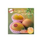 ショッピングふるさと納税 マンゴー ふるさと納税 マンゴー 和歌山県 美浜町  2026年先行予約 紀州美浜しおさい マンゴー 2玉（0.8〜0.9kg）｜フルーツ 果物 くだもの まんごー 希少 国産 食品 お…