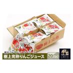 ふるさと納税 果汁飲料 りんご 秋田県 横手市 樹上完熟りんごジュース 20パック