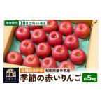 ふるさと納税 りんご 秋田県 横手市 先行受付 10月上旬より発送 季節の赤いりんご 約5kg(早生ふじ(やたか)、シナノスイート、早生ふじ(こまちふじ)、サンふ…