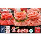 マグロ 定期便 4ケ月連続お届け 生本まぐろ