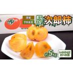 ふるさと納税 果物類 柿 愛媛県 宇和島市 訳あり 柿 次郎柿 15〜16個 5kg L 2L じろう柿 末光農園 先行予約 不揃い kaki かき 次朗 じろうがき カキ フルーツ …