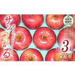 ふるさと納税 りんご 長野県 飯綱町 りんご サンつがる 家庭用 3kg ヤマウラ農園 沖縄県への配送不可 2026年9月上旬頃から2026年9月中旬頃まで順次発送予定 令…