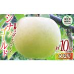 ふるさと納税 りんご 長野県 飯綱町 りんご シナノゴールド 家庭用 10kg ヤマウラ農園 2025年11月上旬頃から2025年11月下旬頃まで順次発送予定 令和7年度収穫…