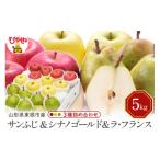 ふるさと納税 りんご 山形県 東根市 令和7年産 先行予約 サンふじ&シナノゴールド&ラフランス 詰め合わせ 5kg 東根市 山形県 東根農産センター提供 hi02…