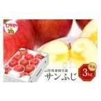 ふるさと納税 りんご 山形県 東根市 令和7年産 先行予約 りんご サンふじ 3kg(秀品) 東根市 山形県 東根農産センター提供 hi027-207-1 りんご サンふじ 3kg(…