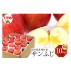 ふるさと納税 りんご 山形県 東根市 令和7年産 先行予約 りんご サンふじ 10kg(秀品) 東根市 山形県 東根農産センター提供 hi027-205-1 りんご サンふじ 10kg…