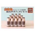 飲料類 乳飲料 山のいぶき 湯あがりカフェオレ 200ml