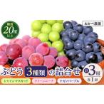 果物の詰合せ おかべ農園 ぶどう3種類の詰合せ
