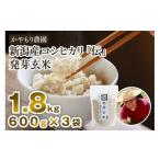 ふるさと納税 玄米 新
