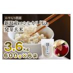 ふるさと納税 玄米 新潟県 加茂市 令和6年産米 発芽玄米 新潟産コシヒカリ「伝」発芽玄米3.6kg(600g×6袋)かやもり農園