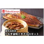 うなぎ 高島屋選定品 産うなぎ蒲焼ときざみのセット