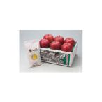 ふるさと納税 りんご 青森県 黒石市 りんご約1.5kg(5〜6個)とお米300g(2合)のお試しセット 1405714