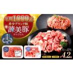 諫美豚切り落としひき肉セット計4.2kg