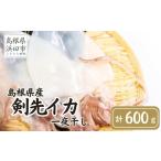 ふるさと納税 イカ 島根県 浜田市 島根県産剣先イカ一夜干し 計600g（4〜6枚）個包装・真空袋・ギフト 真空 個包装 訳あり 干物 白イカ 保存料不使用 大容量 …