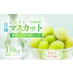 ぶどう マスカット 訳あり 冷凍シャインマスカット 約1kg