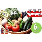 セット 詰合せ 定期便 6ヶ月 旬の野菜セット