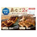 魚貝類 穴子 あなご2種セット 類 魚 蒲焼き