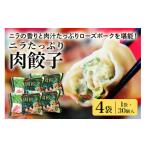 ふるさと納税 餃子 茨城県 小美玉市 数量限定 ニラたっぷり肉餃子 4袋 肉餃子30個×4袋 120個 ニラ ぎょうざ ギョウザ 餃子 ニラ にら ローズポーク 豚肉 小…