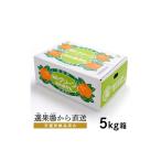 蒲郡グリーン 温室みかん 5kg_