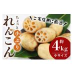 人参 大根 他根菜 ご ちょっと小さめ れんこん 約4kg