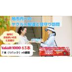イベントやチケット等 ヤクルト Yakult1000 63本
